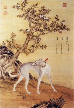 Cangshuiqiu un galgo chino del álbum Diez perros premiados Lang brillante Giuseppe Castiglione tinta china antigua Pinturas al óleo